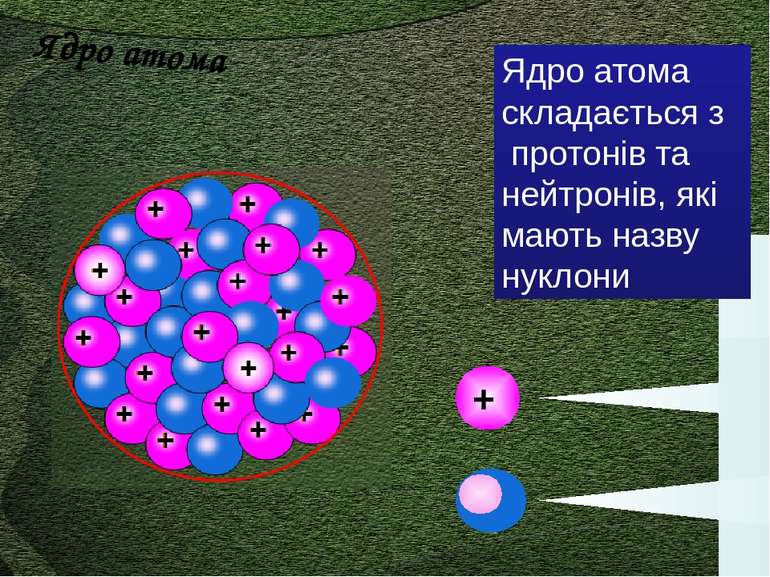 + протон нейтрон Ядро атома складається з протонів та нейтронів, які мають на...