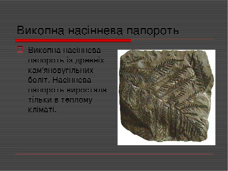 Викопна насіннева папороть Викопна насіннева папороть із древніх кам'яновугіл...