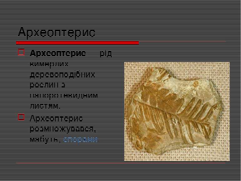 Археоптерис Археоптерис — рід вимерлих деревоподібних рослин з папоротевидним...