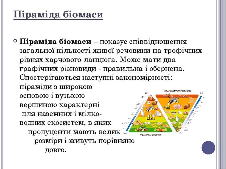 Піраміда біомаси – показує співвідношення загальної кількості живої речовини ...