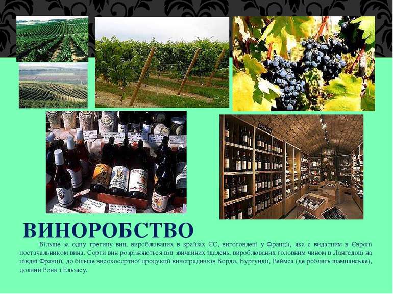 ВИНОРОБСТВО Більше за одну третину вин, вироблюваних в країнах ЄС, виготовлен...
