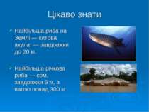 Цікаво знати Найбільша риба на Землі — китова акула: — завдовжки до 20 м. Най...