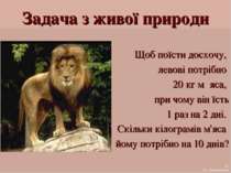 Задача з живої природи Щоб поїсти досхочу, левові потрібно 20 кг м´яса, при ч...