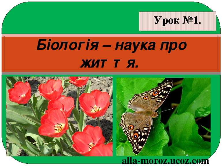 Урок №1. Біологія – наука про життя. alla-moroz.ucoz.com