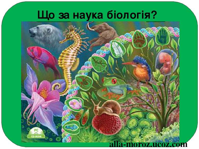Що за наука біологія? alla-moroz.ucoz.com