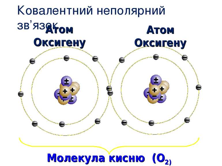 Ковалентний неполярний зв’язок Атом Оксигену Молекула кисню (O2) Атом Оксигену