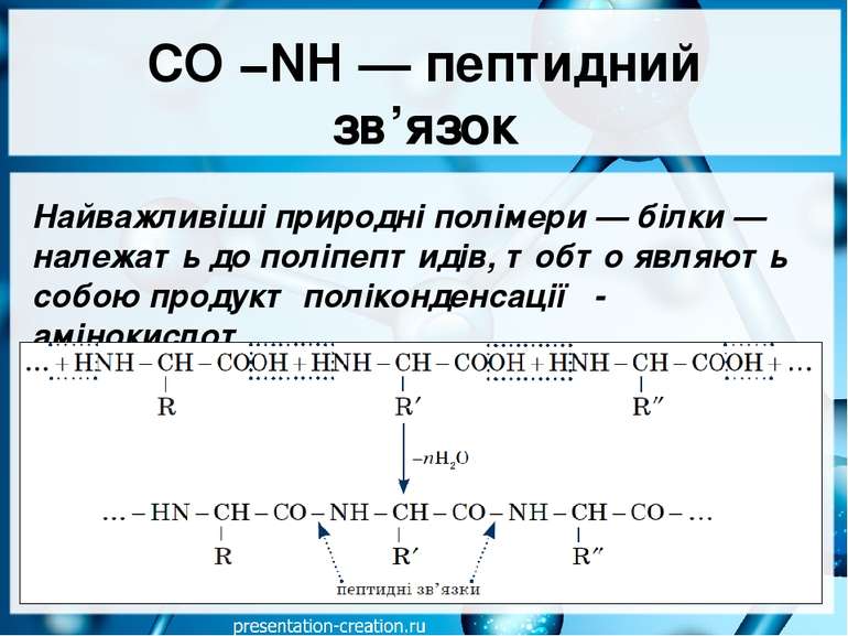 CO −NH — пептидний зв’язок Найважливіші природні полімери — білки — належать ...