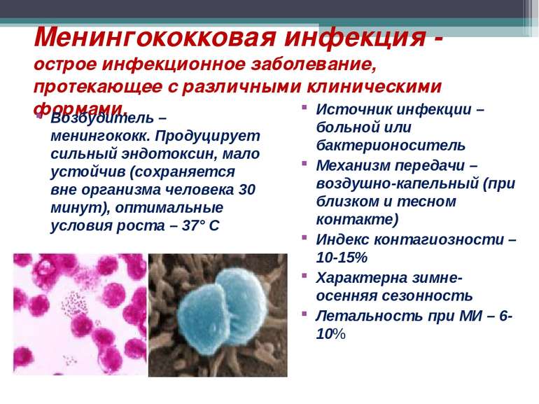 Менингококковая инфекция - острое инфекционное заболевание, протекающее с раз...