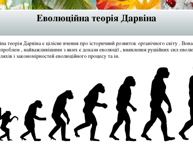 Еволюційна теорія Дарвіна Еволюційна теорія Дарвіна є цілісне вчення про істо...