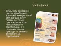 Діяльність сенсорних систем відображає зовнішній матеріальний світ, що дає зм...