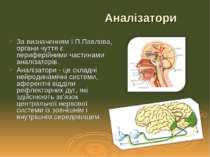 За визначенням І.П.Павлова, органи чуття є периферійними частинами аналізатор...