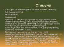 Стимули Сенсорні системи кодують чотири аспекти стимулу: тип (модальність); і...