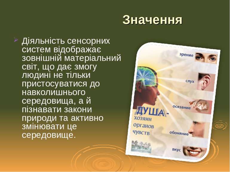 Діяльність сенсорних систем відображає зовнішній матеріальний світ, що дає зм...