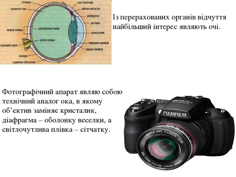 Фотографічний апарат являю собою технічний аналог ока, в якому об’єктив замін...