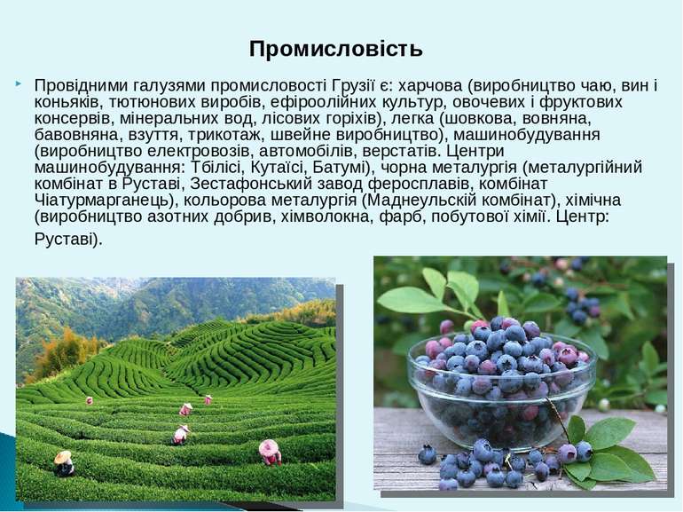 Провідними галузями промисловості Грузії є: харчова (виробництво чаю, вин і к...