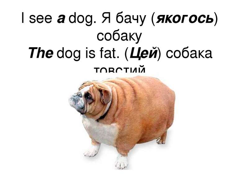 I see a dog. Я бачу (якогось) собаку The dog is fat. (Цей) собака товстий