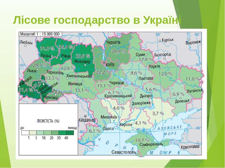Лісове господарство в Україні
