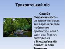 Трикратський ліс Садиба Скаржинського – це історичне місце, яке варто відвіда...