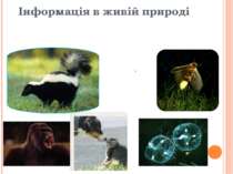 Інформація в живій природі Інформаційні сигнали в житті тварин: звук, світло,...