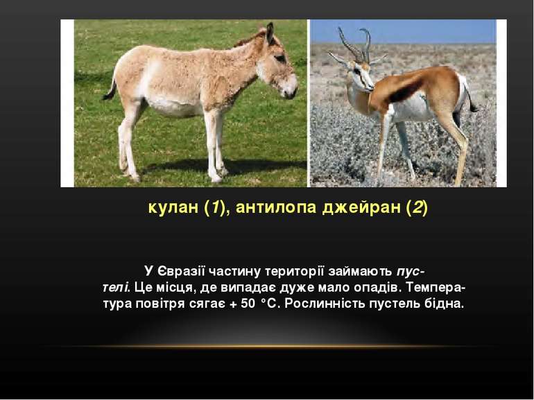 кулан (1), антилопа джейран (2) У Євразії частину території займають пус- тел...
