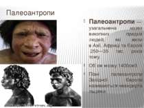 Палеоантропи Палеоантро пи — узагальнена назва викопних предків людей, які жи...