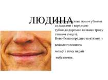 ЛЮДИНА Місце,окреслене носо-губними складками і верхньою губою,недаремно назв...