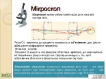 Мікроскоп Мікроскоп являє собою комбінацію двох лінз або систем лінз. Лінза О...