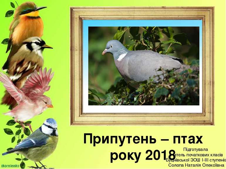 Припутень – птах року 2018 Підготувала вчитель початкових класів Буцнівської ...