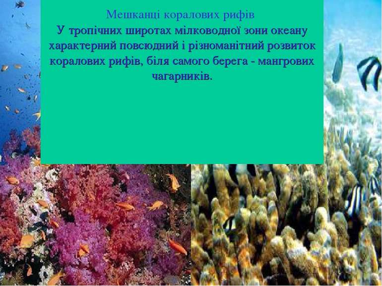 Мешканці коралових рифів У тропічних широтах мілководної зони океану характер...