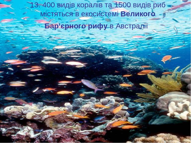 13. 400 видів коралів та 1500 видів риб містяться в екосистемі Великого Бар’є...