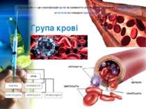 Група крові  Гру па кро ві — це класифікація крові за наявністю або відсутніс...