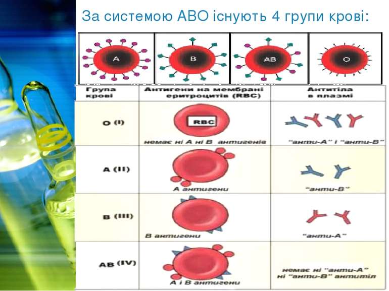 За системою АВО існують 4 групи крові: