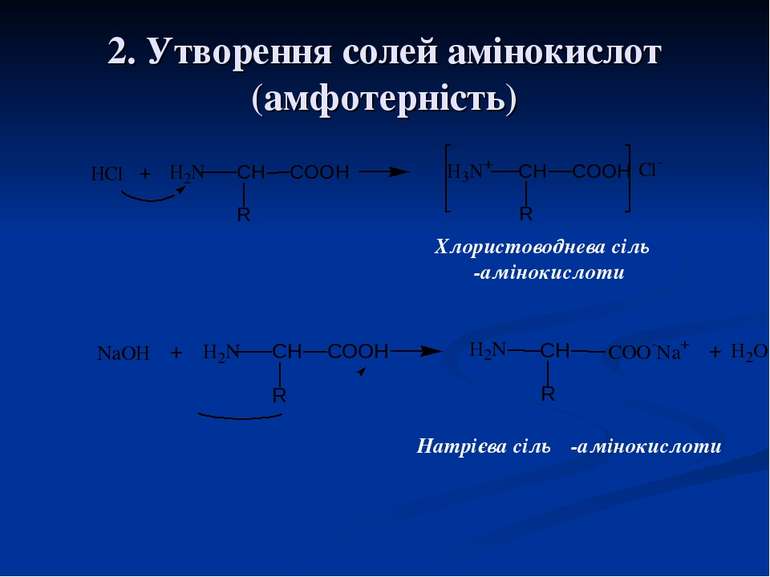 2. Утворення солей амінокислот (амфотерність) Хлористоводнева сіль α-амінокис...