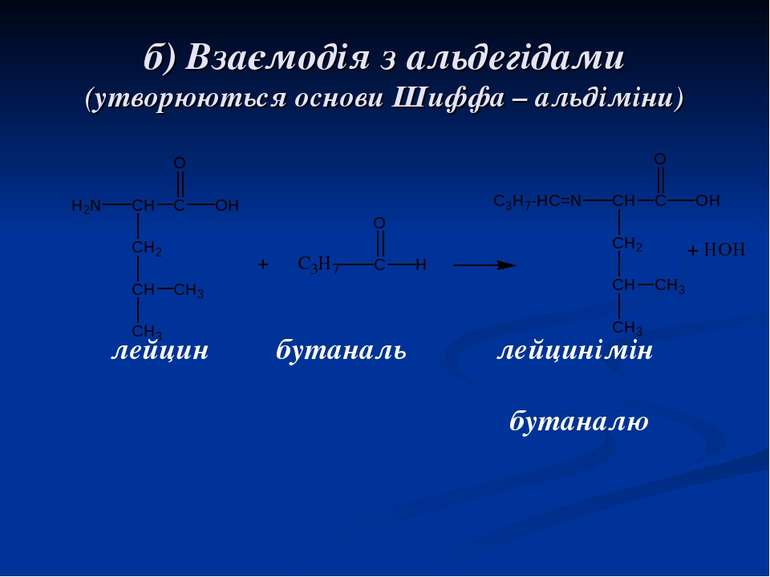 б) Взаємодія з альдегідами (утворюються основи Шиффа – альдіміни) лейцин бута...
