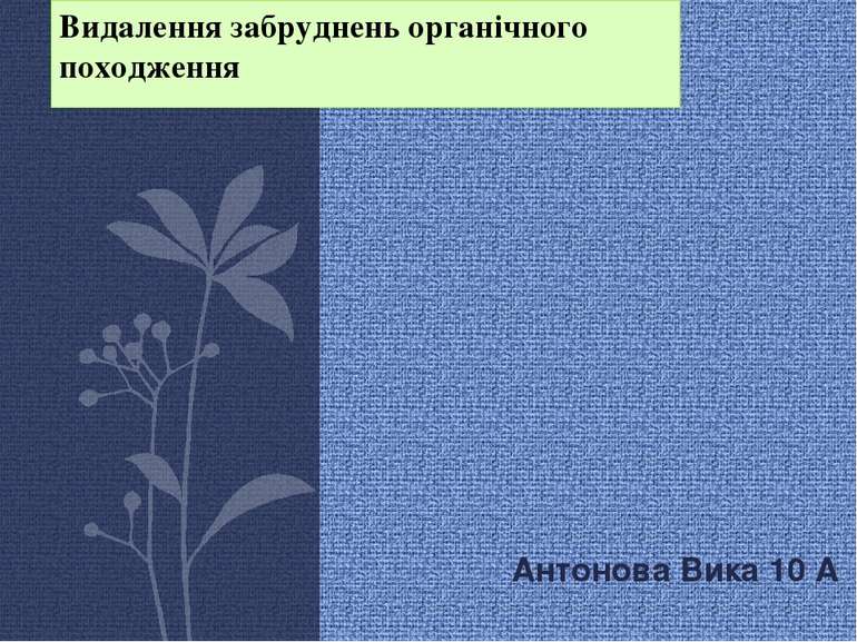 Видалення забруднень органічного походження Антонова Вика 10 А