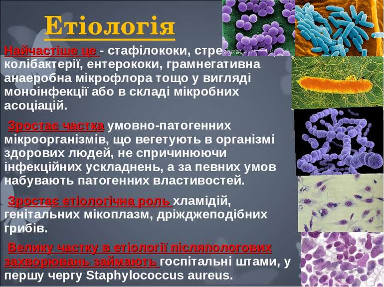 Етіологія Найчастіше це - стафілококи, стрептококи, колібактерії, ентерококи,...