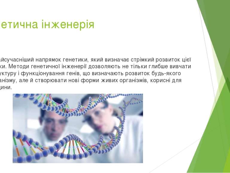 Генетична інженерія – найсучасніший напрямок генетики, який визначає стрімкий...