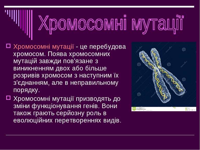 Хромосомні мутації - це перебудова хромосом. Поява хромосомних мутацій завжди...