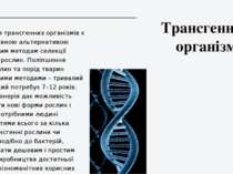 Трансгенний організм Виведення трансгенних організмів є перспективною альтерн...