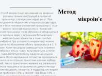 Спосіб мікроін'єкції заснований на введенні розчину генних конструкцій в чоло...