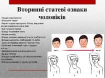 Вторинні статеві ознаки чоловіків -Груди нерозвинені -Більший череп -Череп ха...