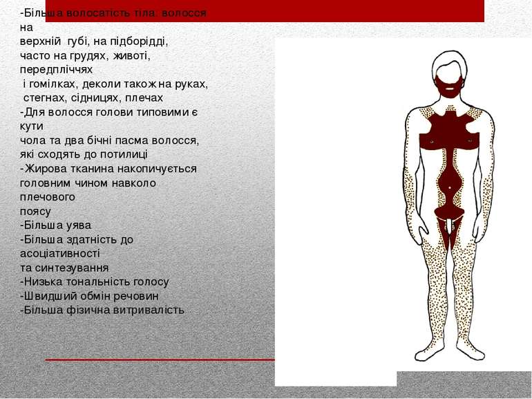 -Більша волосатість тіла: волосся на верхній  губі, на підборідді, часто на г...