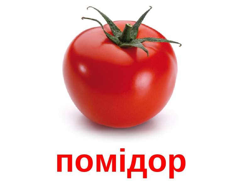 помідор