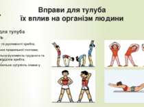 Вправи для тулуба їх вплив на організм людини Вправи для тулуба сприяють: Гну...