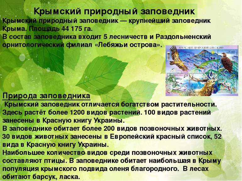 Крымский природный заповедник Кры мский приро дный запове дник — крупнейший з...