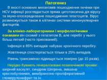 Патогенез В якості основних механізмів пошкодження печінки при HCV інфекції р...