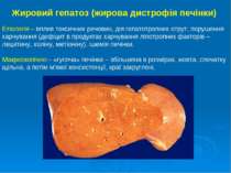 Жировий гепатоз (жирова дистрофія печінки) Етіологія – вплив токсичних речови...
