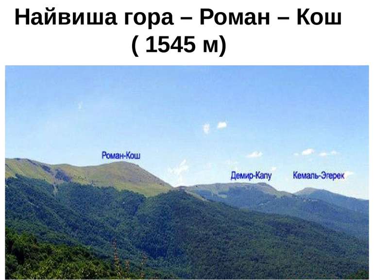 Найвиша гора – Роман – Кош ( 1545 м)