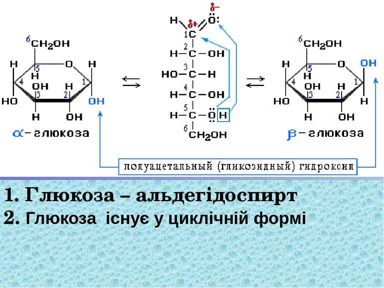 1. Глюкоза – альдегідоспирт 2. Глюкоза існує у циклічній формі