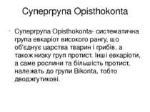 Супергрупа Opisthokonta Супергрупа Opisthokonta- систематична група евкаріот ...